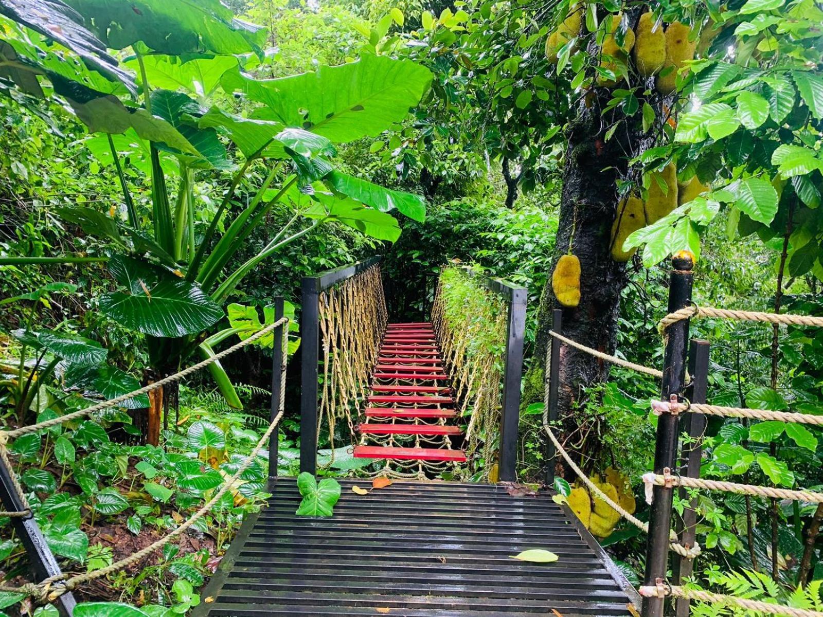 The Mountain Shades Resort Madikeri Exteriér fotografie
