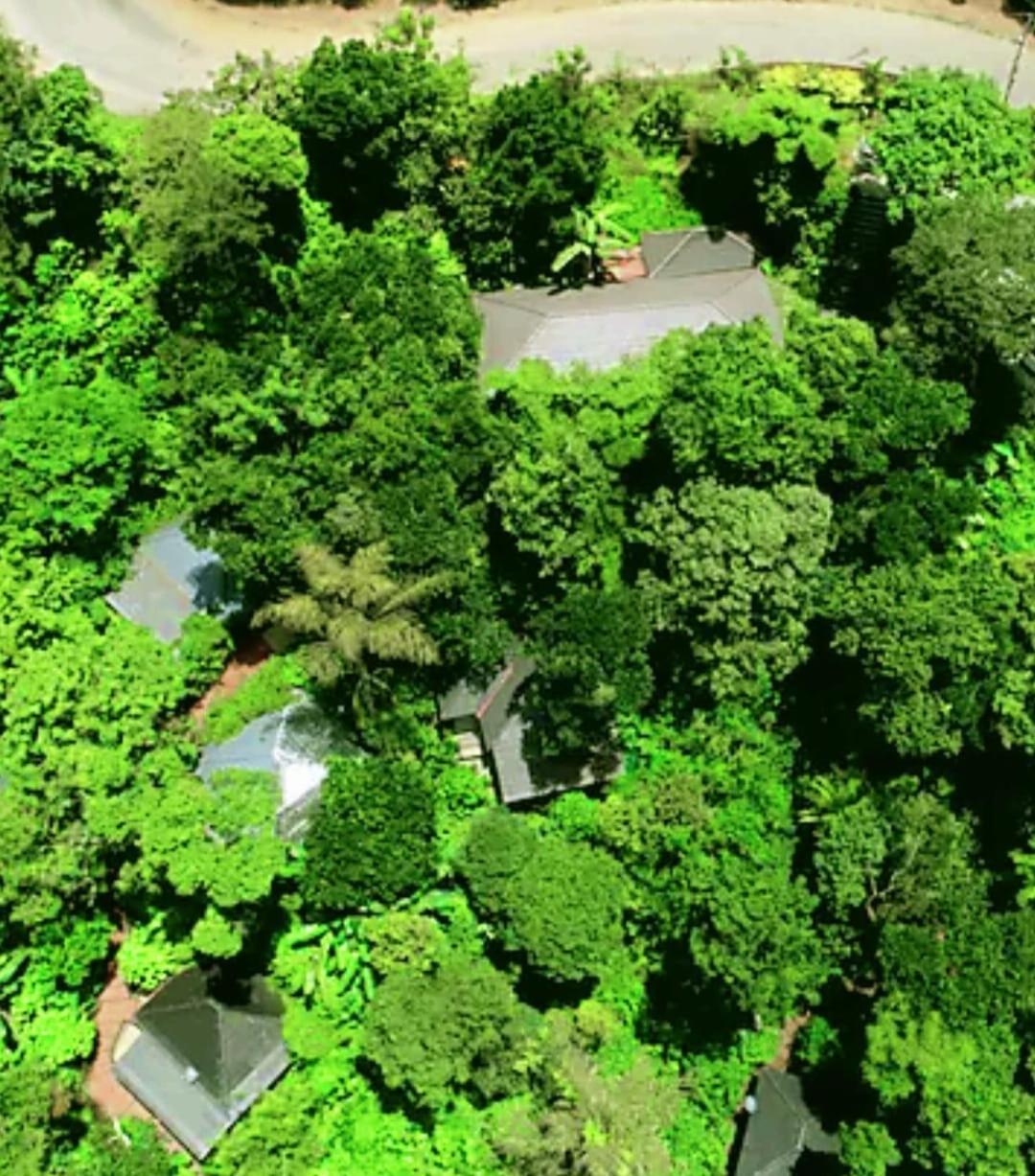 The Mountain Shades Resort Madikeri Exteriér fotografie